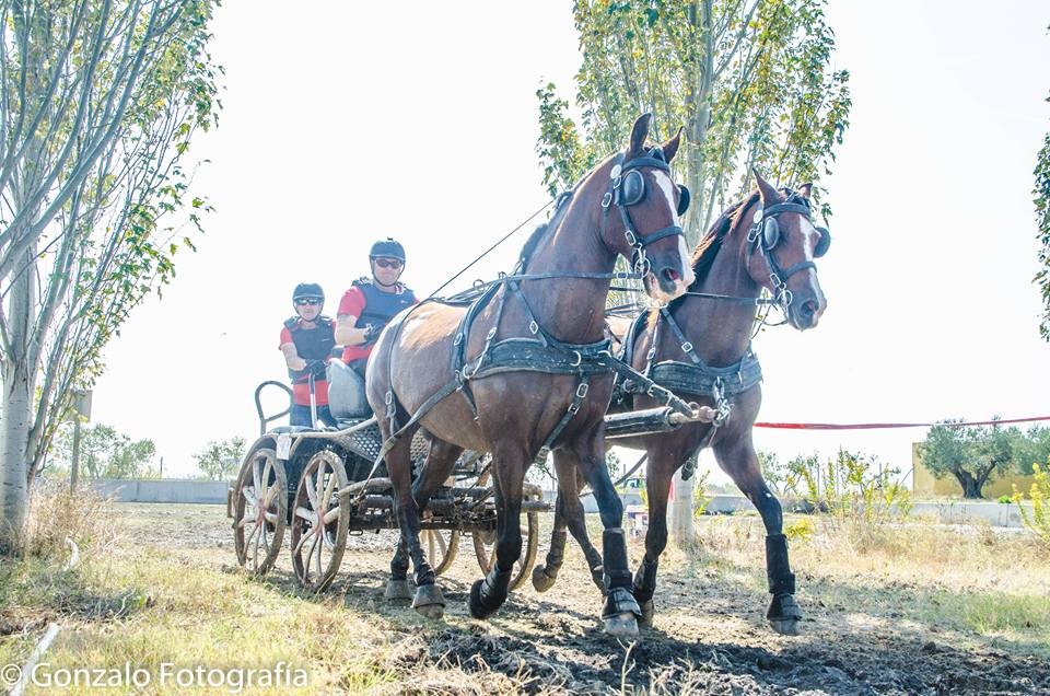 David Aramendía y Carmen Goiburu, Campeones Navarros de Enganches Completo en Troncos y Limoneras